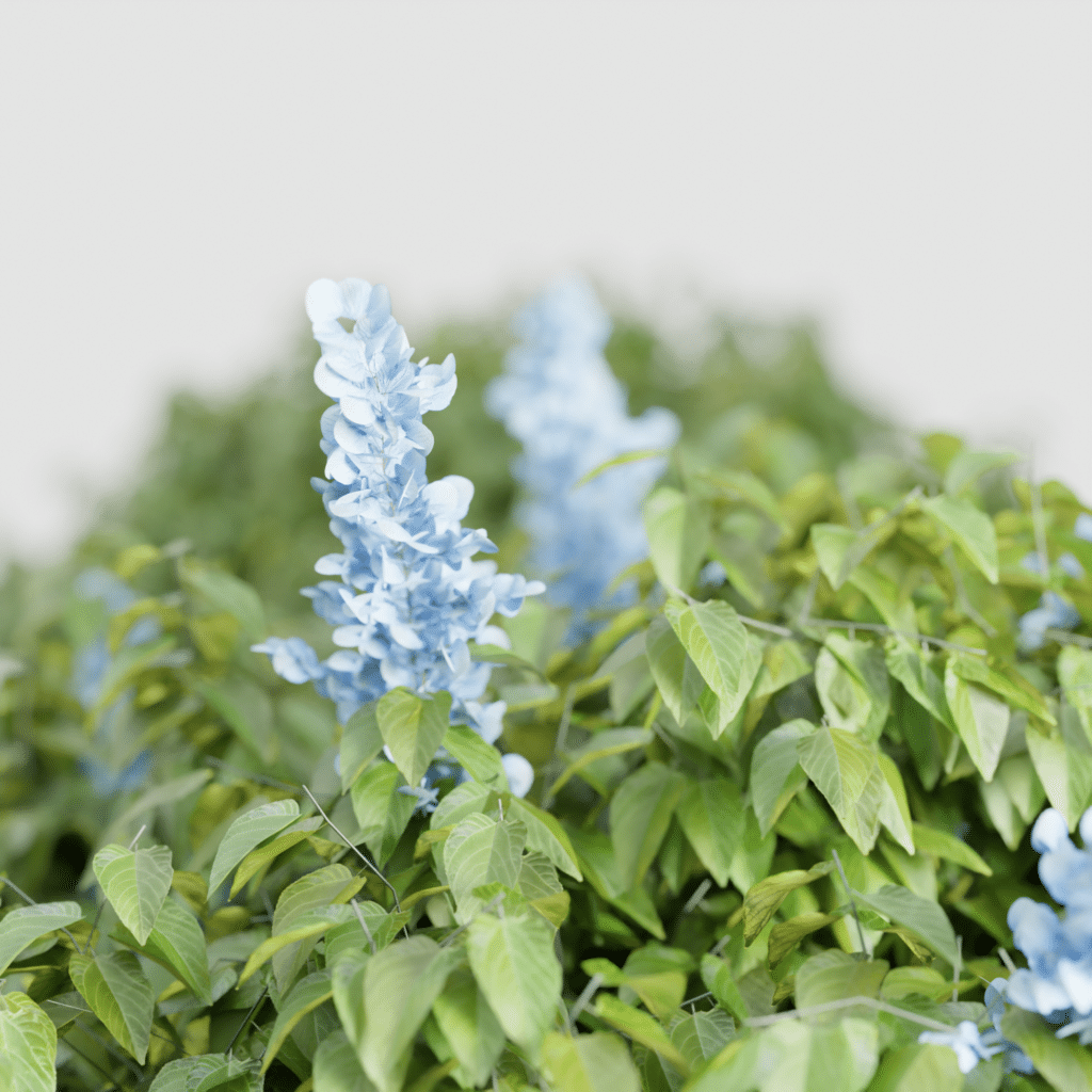Outdoor Bush with flower • iMeshh