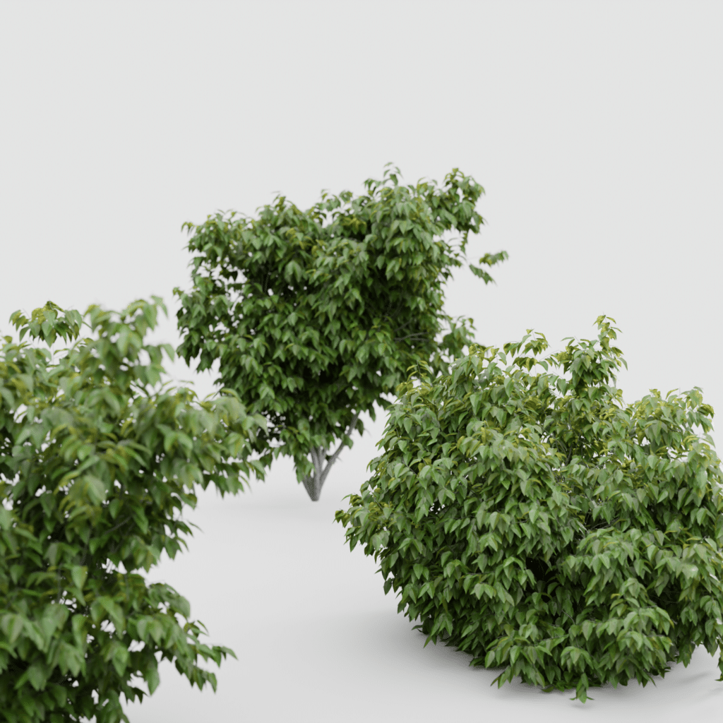 Outdoor Bush Set • iMeshh