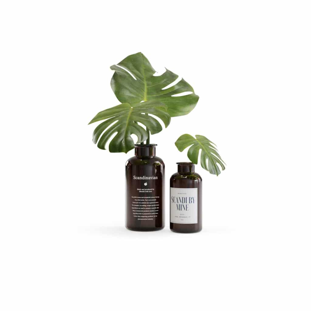 Monstera Vase • iMeshh