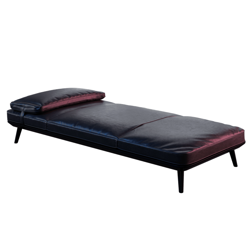 Leather Daybed • iMeshh