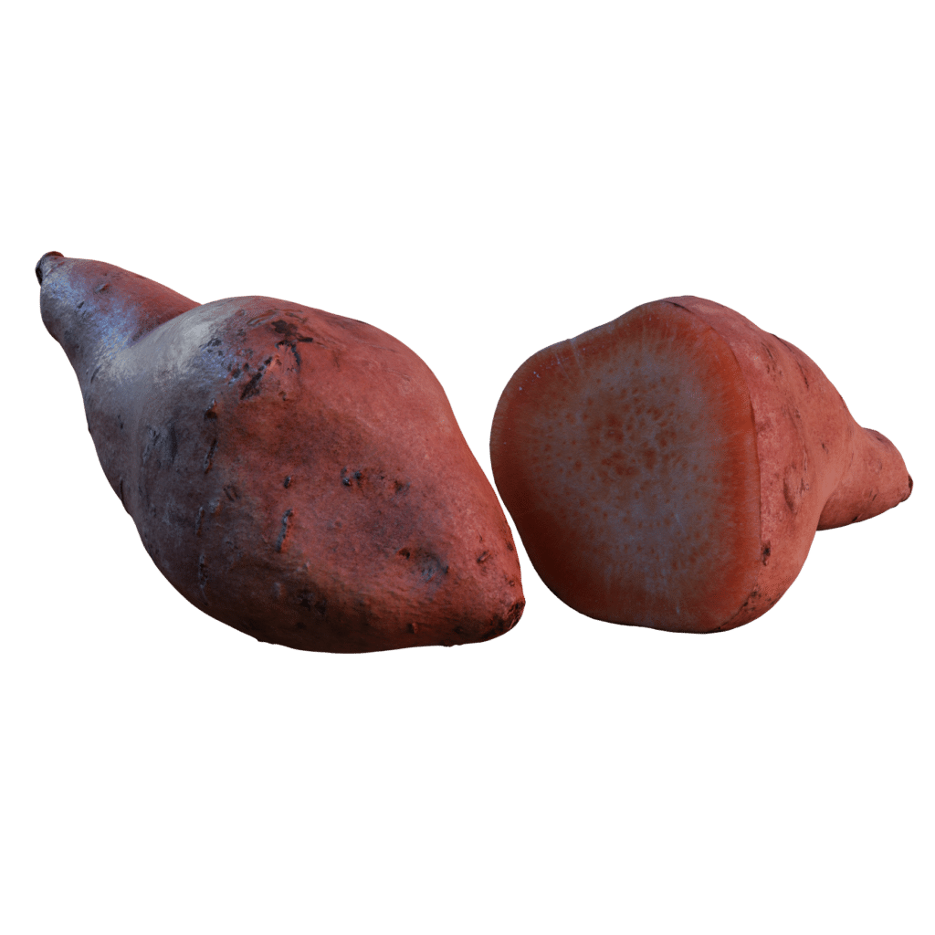 Sweet Potato 3D Models For Blender IMeshh 3D Model Library