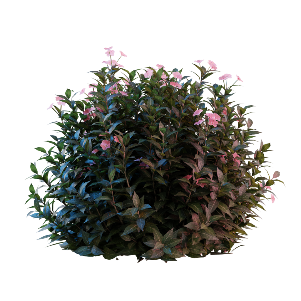 Nerium Oeander4 3D Models For Blender IMeshh 3D Model Library