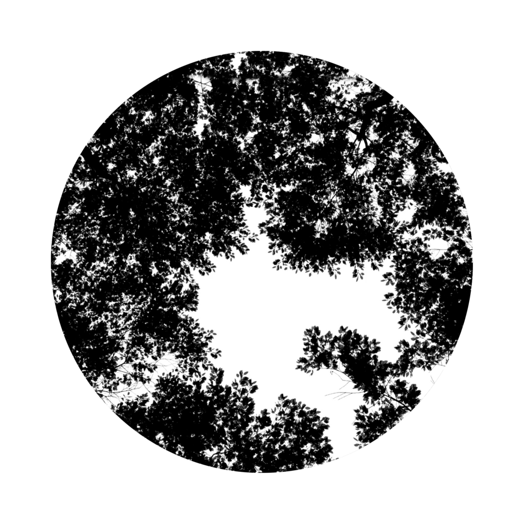 Gobo Tree Animated 03 • iMeshh 3D Model for Blender 4.0+