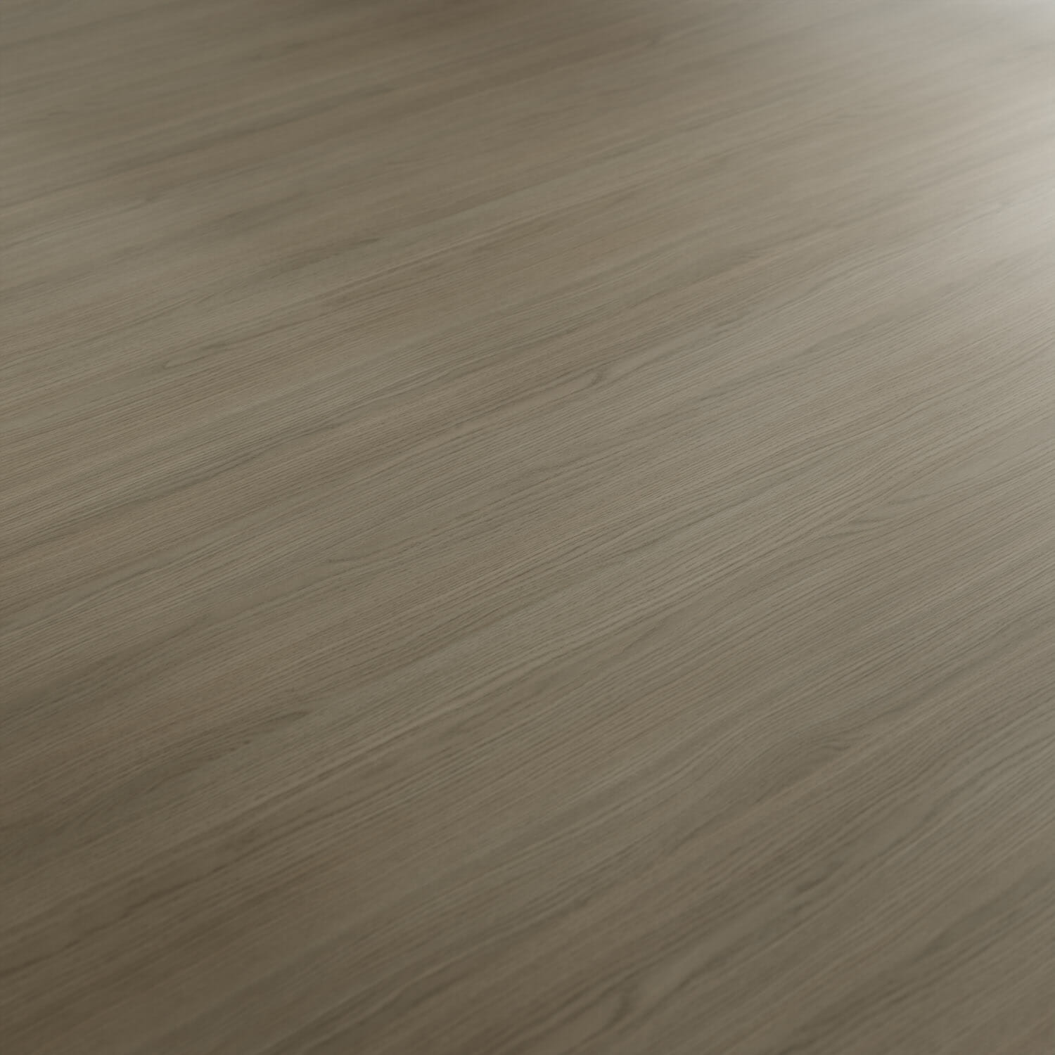 Wood_Oak_Vicenza_Grey_Beauty