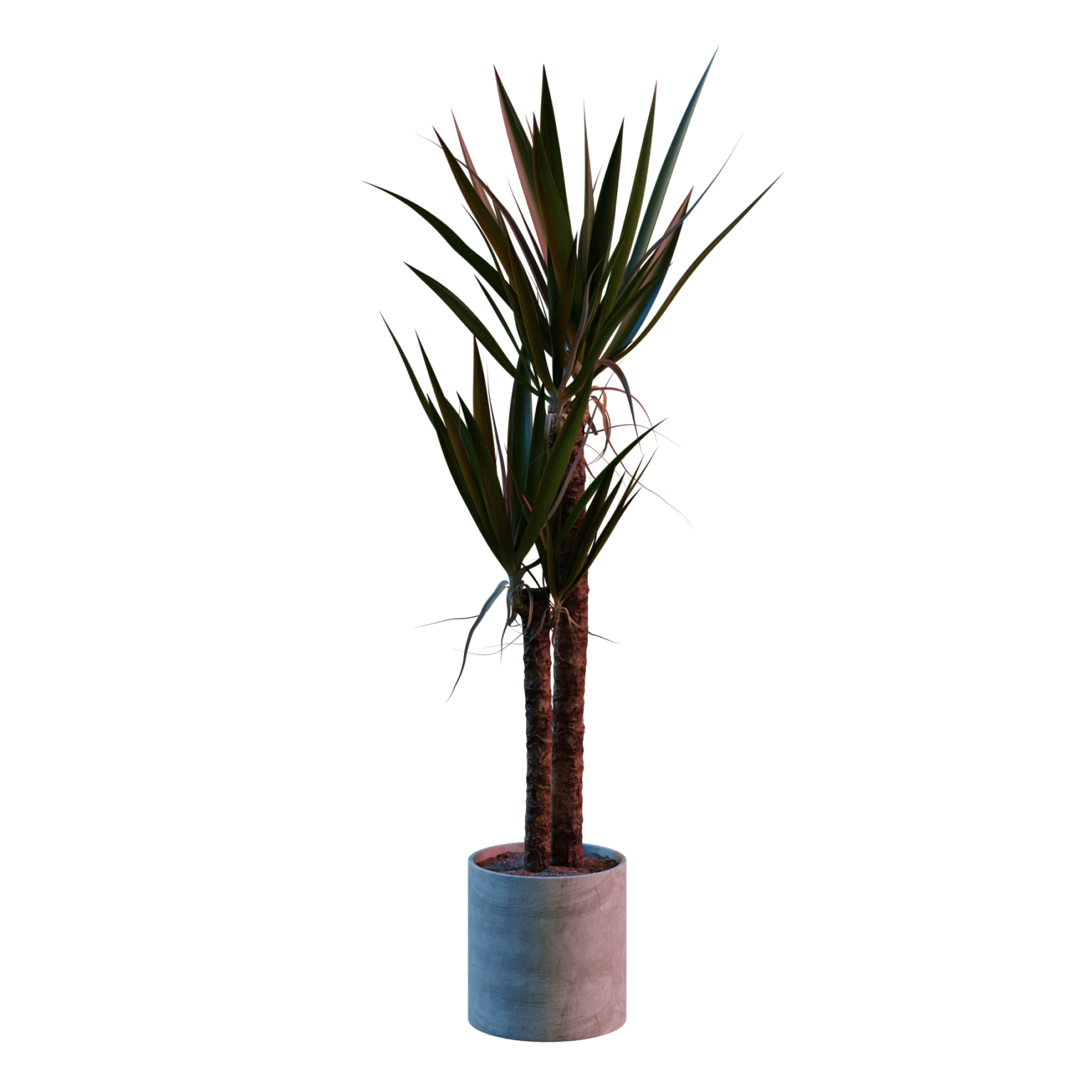 Indoor Floor • iMeshh 3D Models for Blender 4.0+